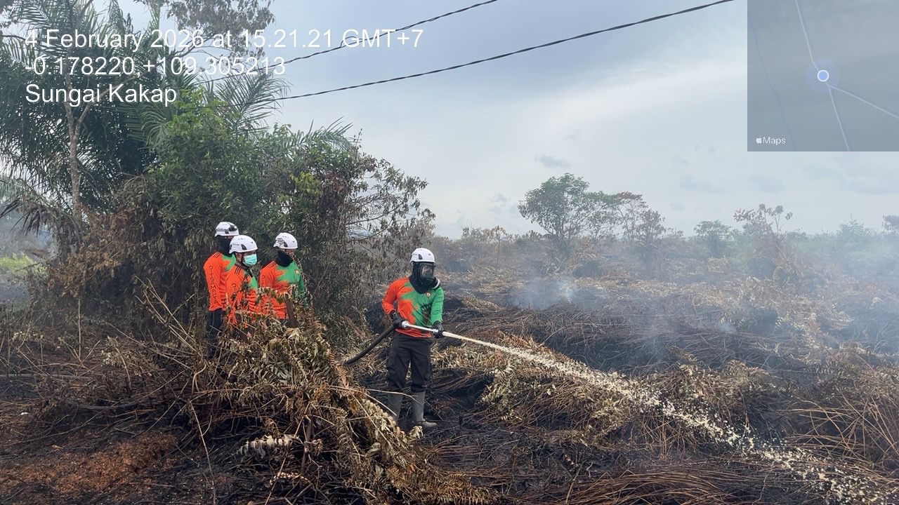 Meski Hujan Turun, Tim Siaga Karhutla Masih Temukan Titik Asap di Kubu Raya
