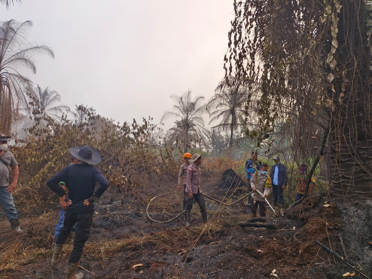 Polsek Binjai Hulu Tangani Karhutla di Lahan PT SNIP