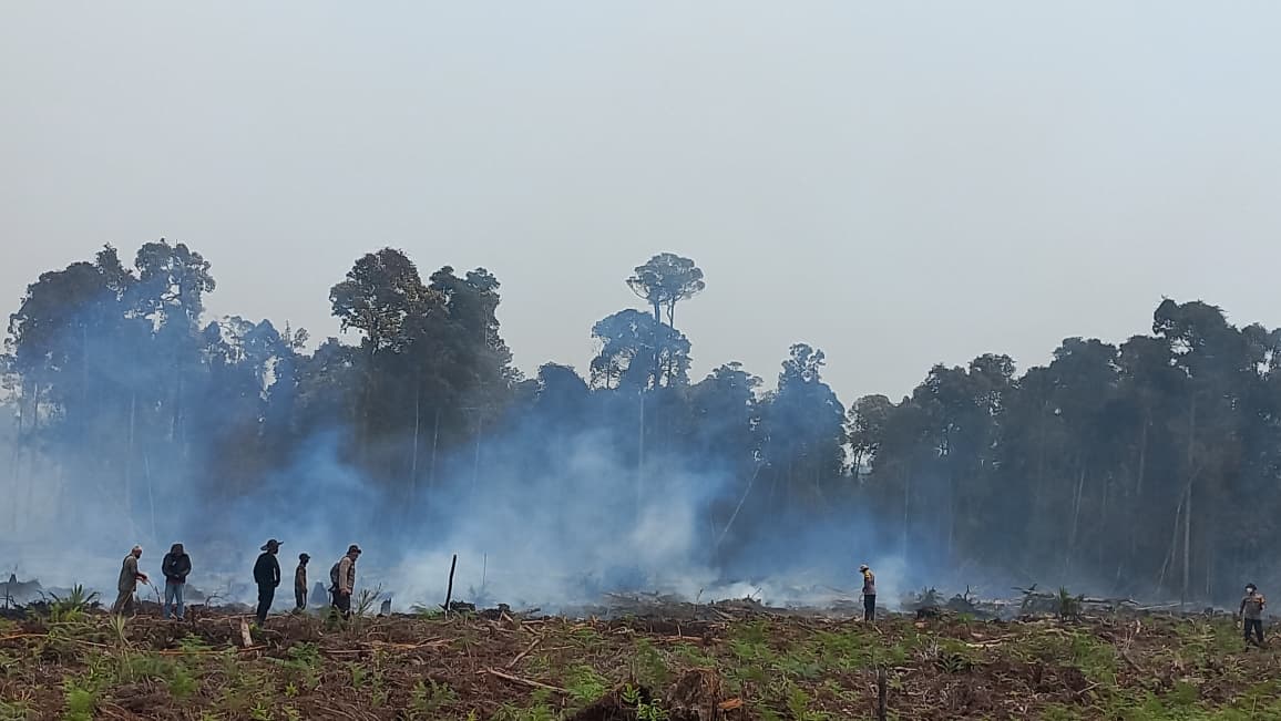 Kapolsek Binjai Hulu Turun Langsung Padamkan Karhutla di Desa Binjai Hilir