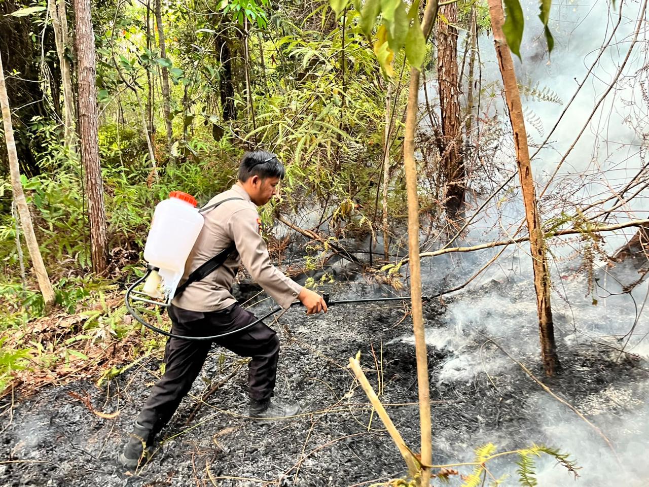 6 Titik di Ketungau Tengah Terbakar, Polisi Bergerak Padamkan Api