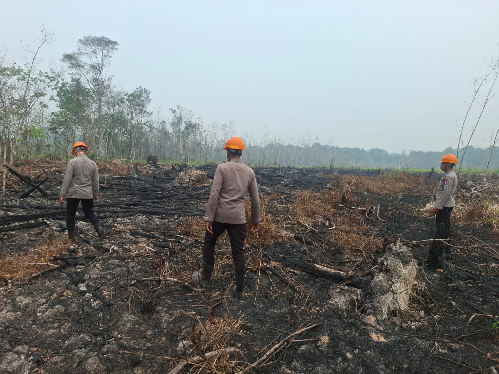 Polsek Sepauk Verifikasi Hotspot Karhutla di Desa Tanjung Hulu