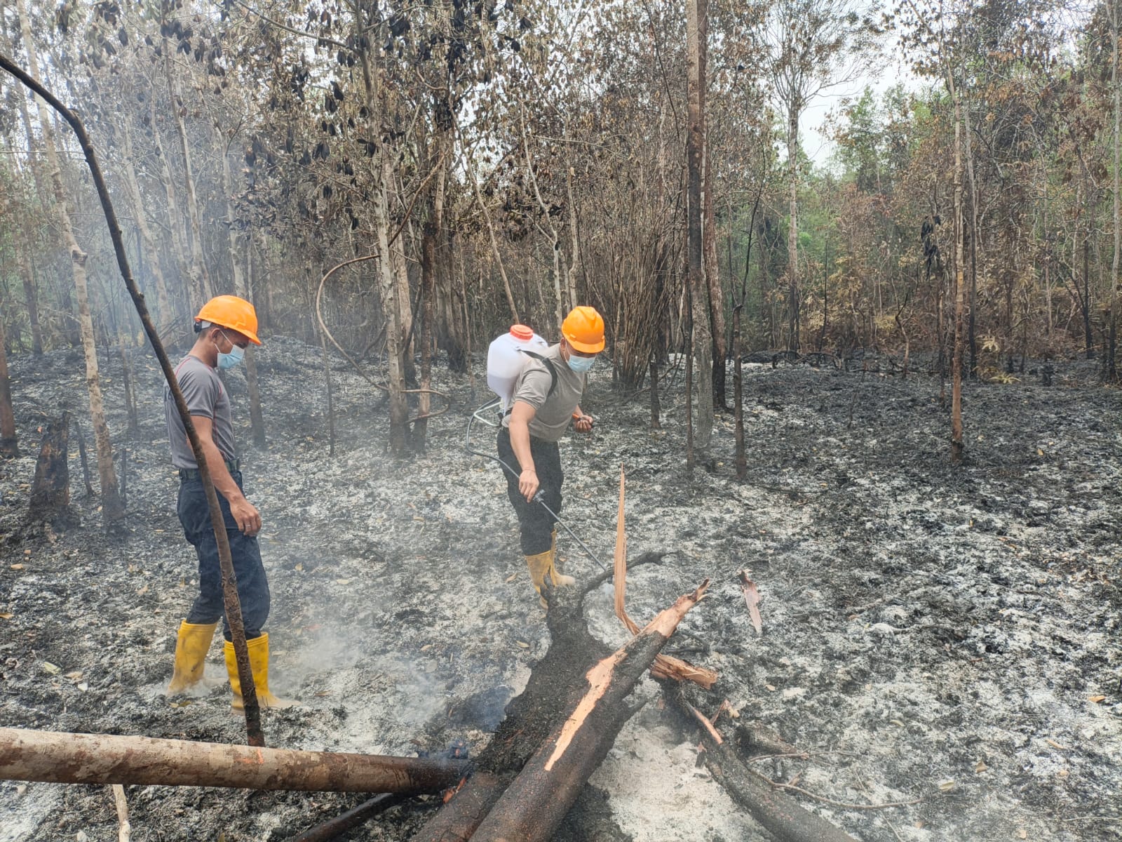 Polsek Ketungau Hilir Verifikasi Tiga Titik Hotspot, Total Lahan Terbakar 1,7 Hektare