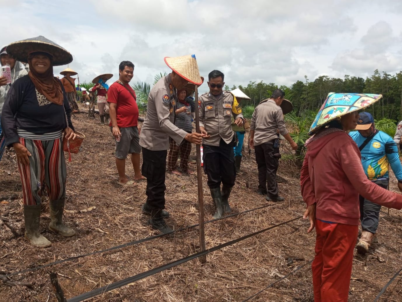 Polsek Kayan Hilir dan Warga Tanam Jagung Hibrida di Lahan Tumpang Sari