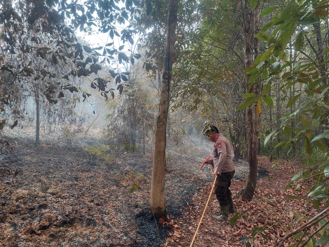 TNI-Polri, BPBD dan Warga Padamkan Kebakaran Lahan di Desa Air Nyuruk