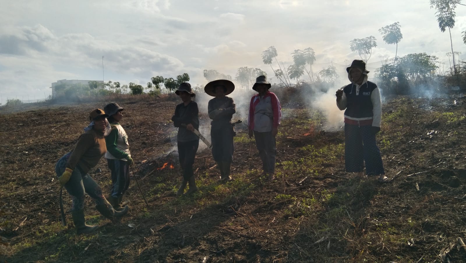 Polsek Ketungau Hilir Dampingi Penanaman Jagung di Lahan 2,5 Hektare
