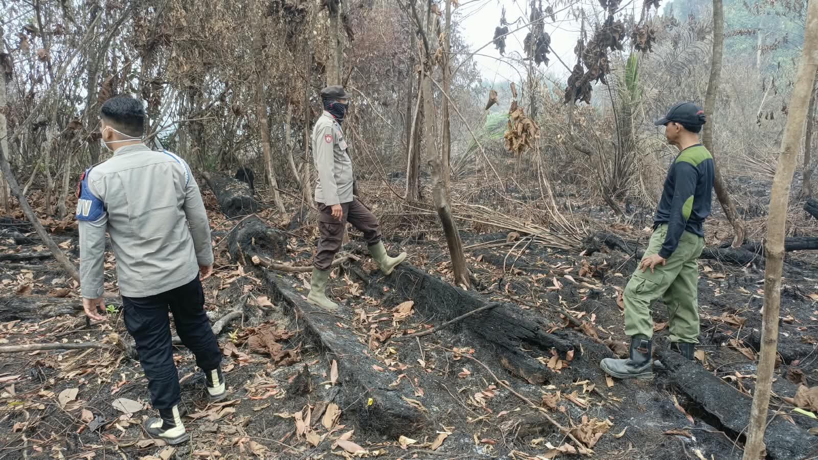 TNI-Polri dan Warga Tangani Karhutla di 5 Kecamatan