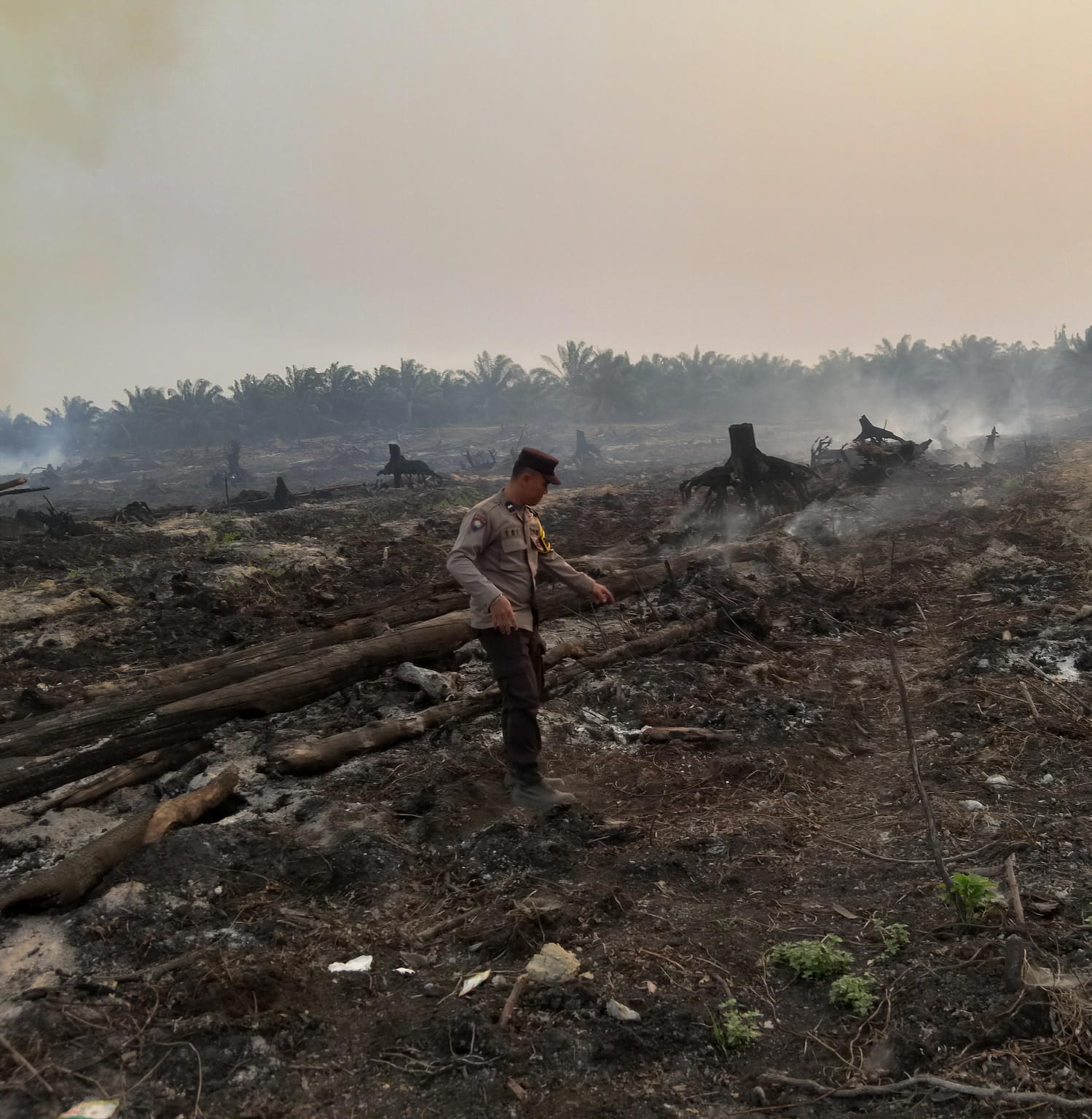 Polsek Sungai Tebelian Tangani Karhutla di Desa Sungai Ukoi dan Penjernang